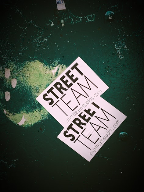 Maximizing Profits for Independent Artists